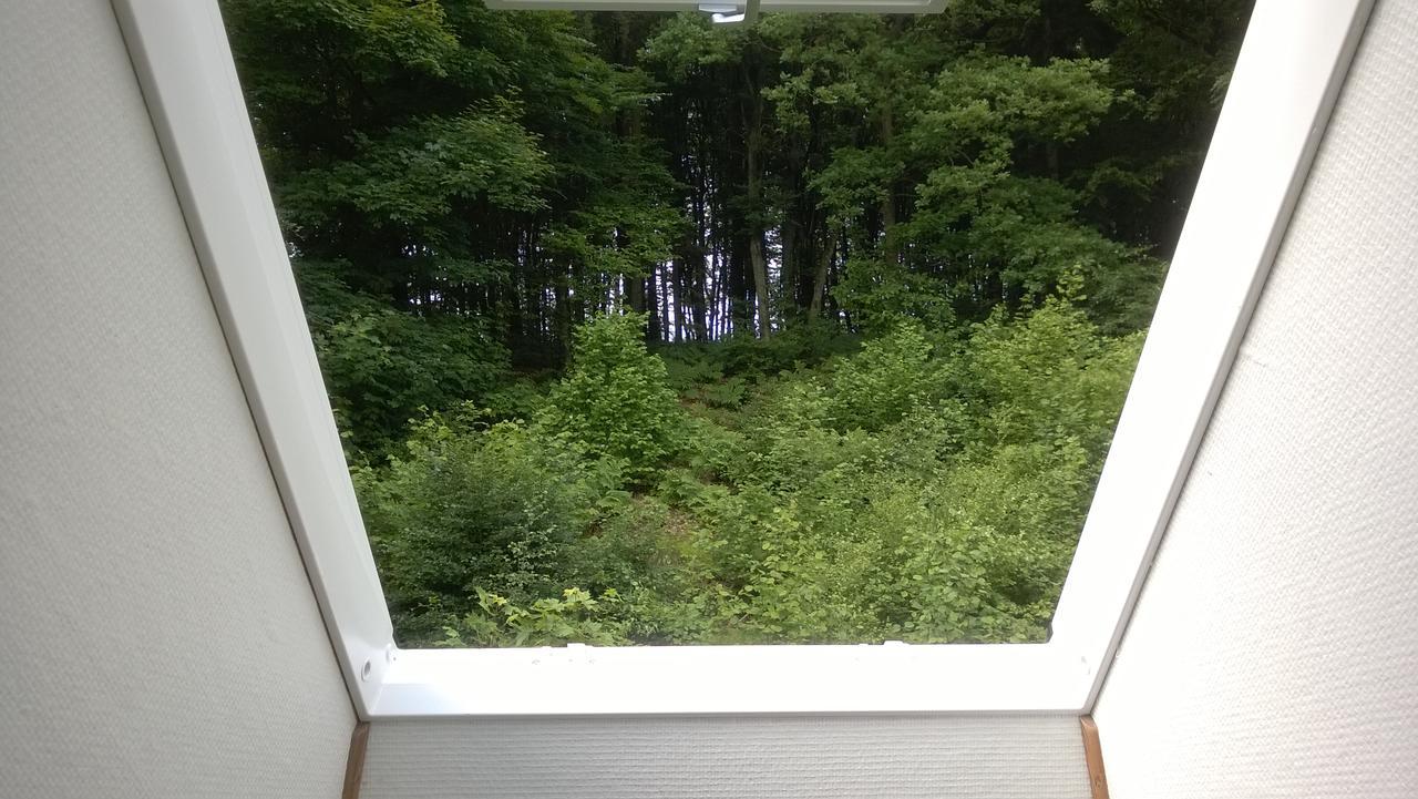 Engesvang Moselundgaard B/B Og Hestehotel المظهر الخارجي الصورة